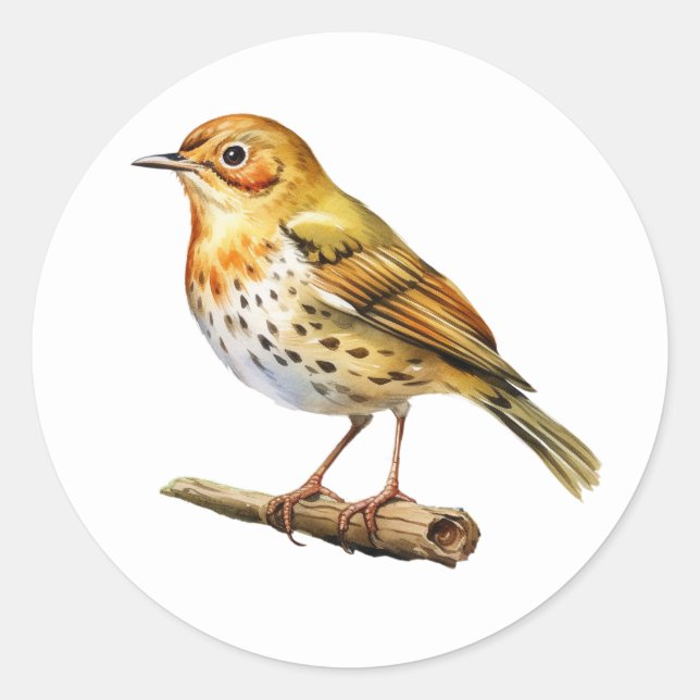 Stickers Oiseau au four (Devant)