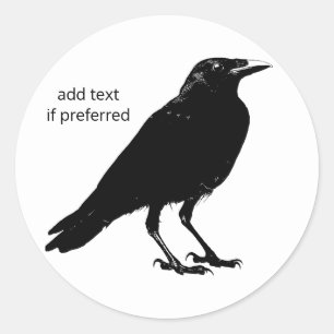 Stickers Oiseaux Corvid Raven