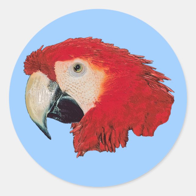 Stickers Oiseaux de perroquets Macaw (Devant)