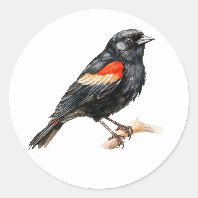 Stickers Oiseaux Rouges (Devant)