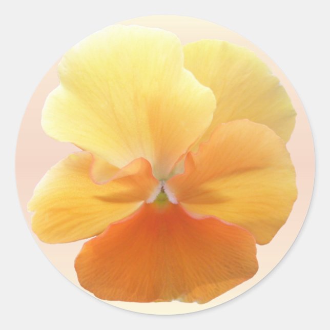 Stickers - Orange Pansy (Devant)