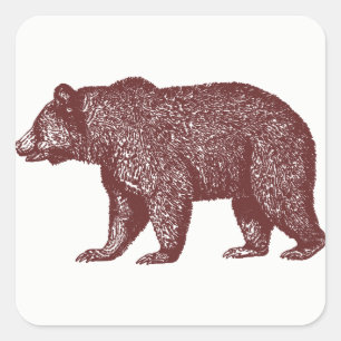Stickers Ours Grizzly