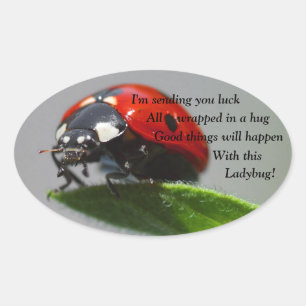 Stickers Ovale de Bonne chance Ladybug