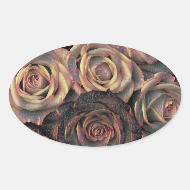 Stickers ovale rose Brown, orange, or (Devant)