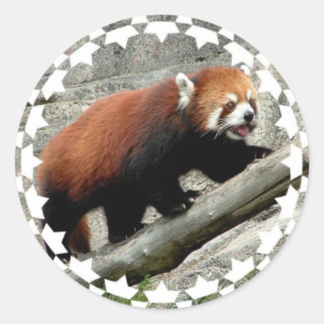 Stickers Panda Rouge (Devant)