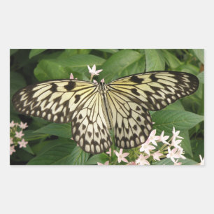 Stickers Papier à papillon