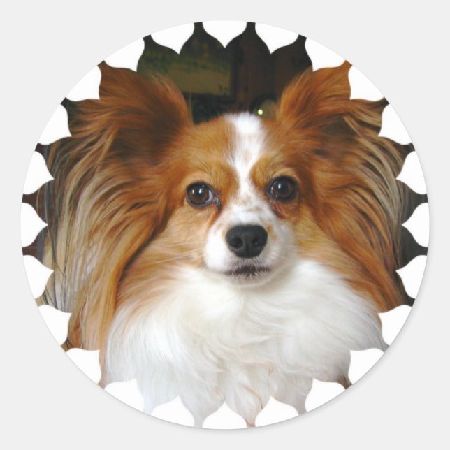 Stickers Papillon (Devant)