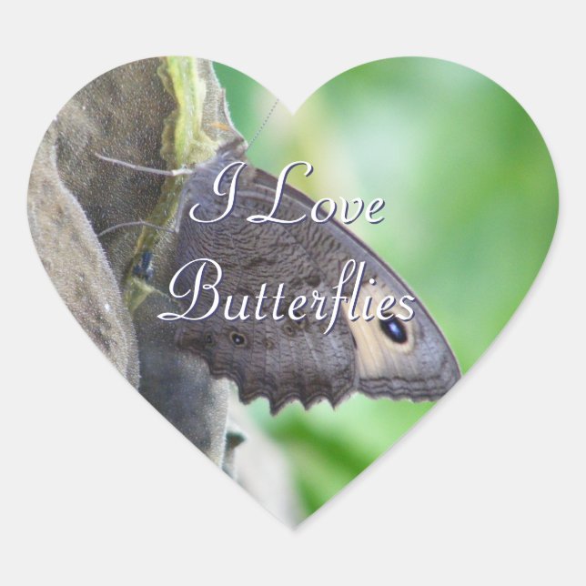 Stickers Papillon (Devant)