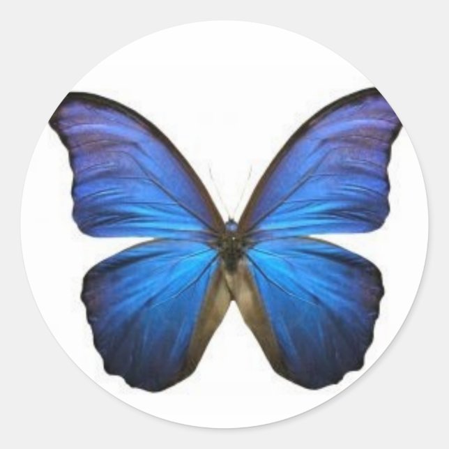 Stickers Papillon bleu (Devant)