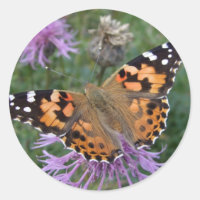 Stickers Papillon-Dame peint