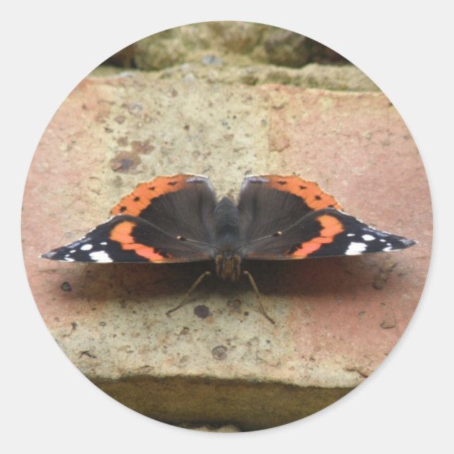 Stickers papillon de l'amiral rouge (Devant)