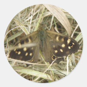 Stickers Papillon en bois moucheté