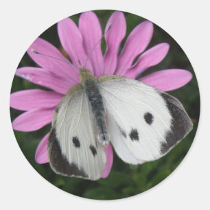 Stickers Papillon et Fleur Rose
