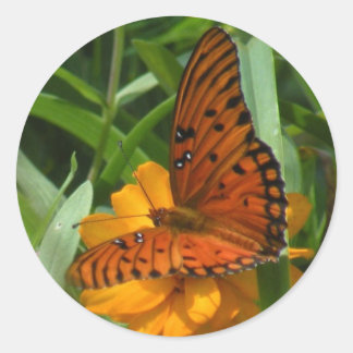 Stickers Papillon Fritillaire du Golfe
