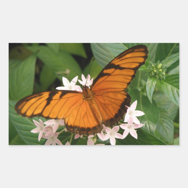 Stickers Papillon Julia orange (Devant)