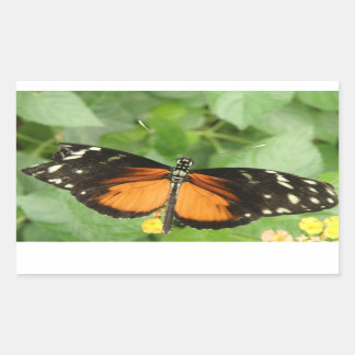 Stickers Papillon long tigre