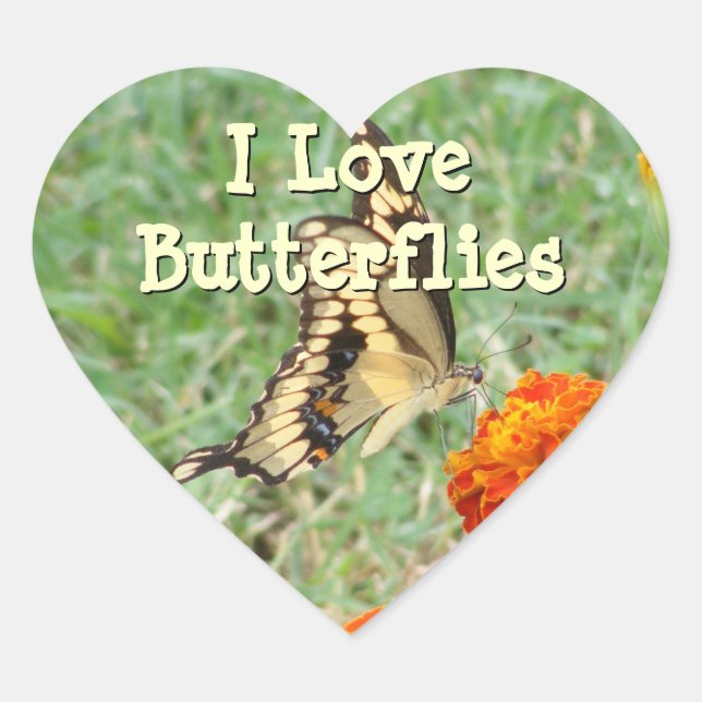 Stickers papillon Swallowtail (Devant)