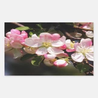 Stickers Pâques aux fleurs bleues