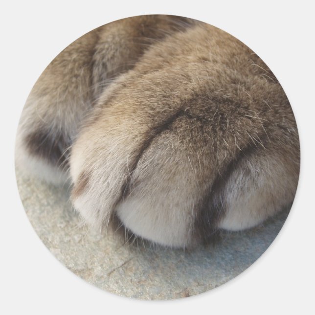 Stickers Paw Cat (Devant)