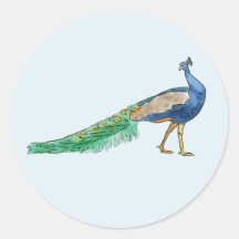Stickers Peacock
