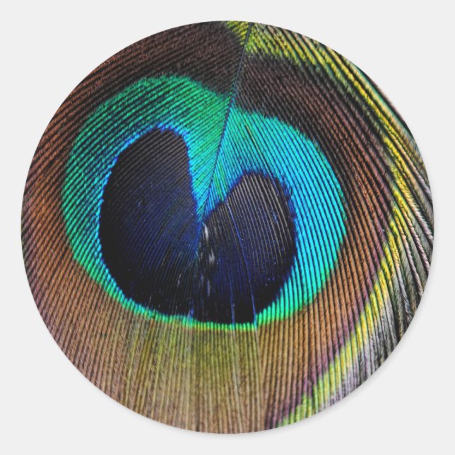 Stickers Peacock Feather (Devant)