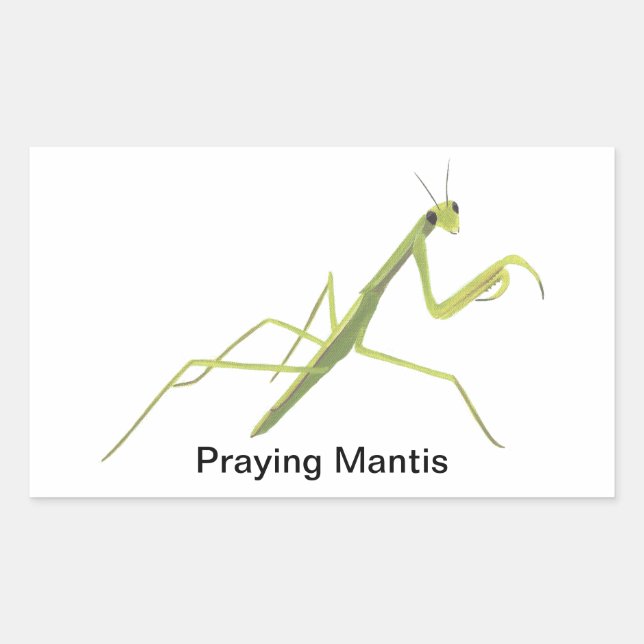 Stickers Peinture des insectes de Mantis (Devant)