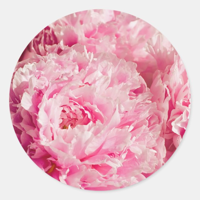 Stickers Peony rose (Devant)