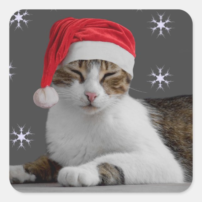 Stickers père Noël Cat (Devant)
