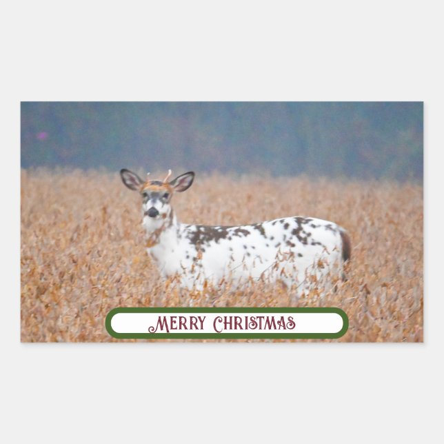 Stickers Photo Piebald Deer (Devant)
