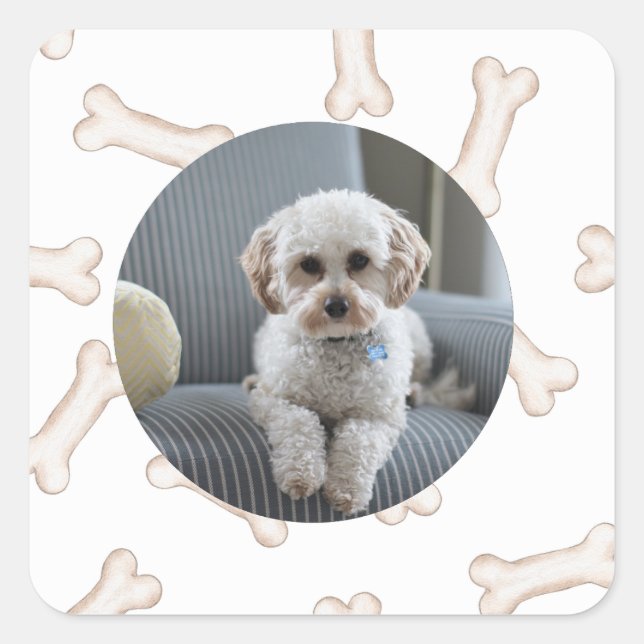 Stickers photo sur mesure (Devant)