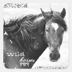 Stickers photo Wild Horse Sud-Ouest