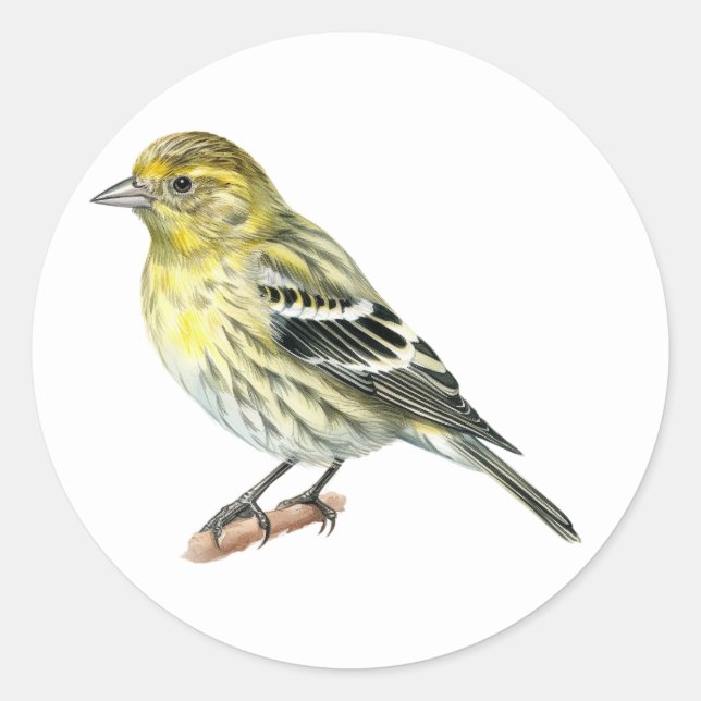 Stickers Pine Siskin Songbird (Devant)