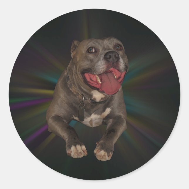 Stickers Pitbull (Devant)