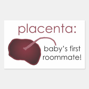 stickers Placenta