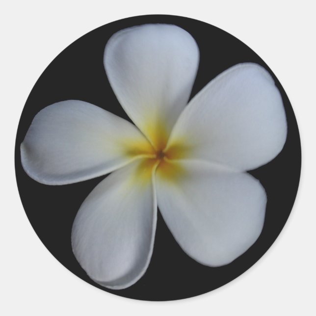 Stickers Plumeria (Devant)