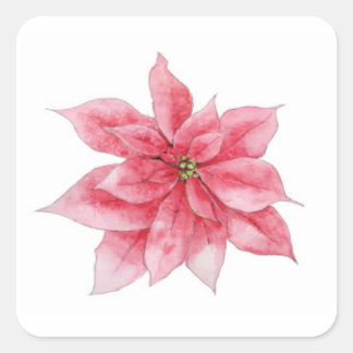 Stickers Poinsettia aquarelle