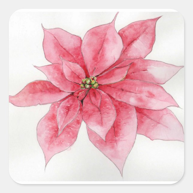 Stickers Poinsettia aquarelle (Devant)