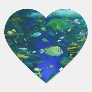 Stickers poissons tropicaux