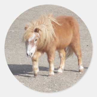 Stickers Pony