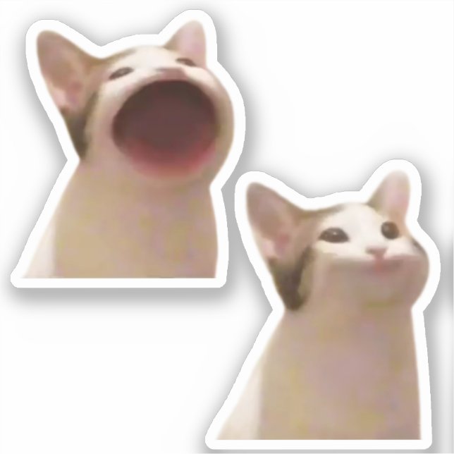 Stickers Pop Cat Meme (Recto)