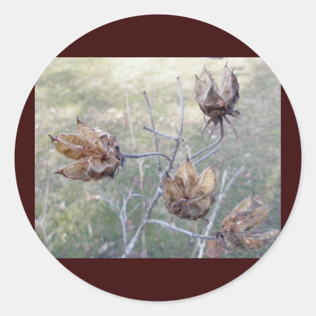 Stickers Pots Hibiscus (Devant)