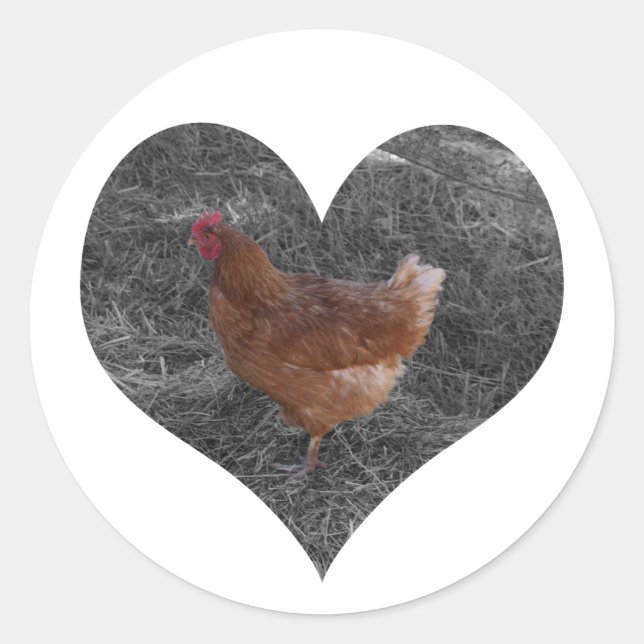 Stickers poulet en forme de coeur (Devant)