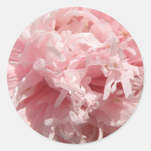 Stickers Pretty Pale Rose Poppy