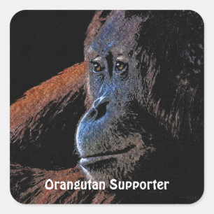Stickers Primate Orangutan Grand Ape