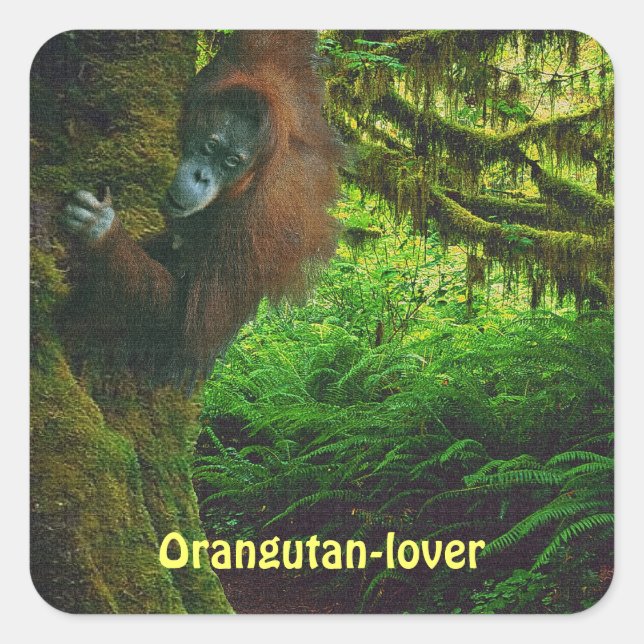 Stickers Primate Orangutan Grand Ape (Devant)