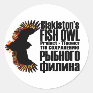 Stickers Projet Chouette de Poisson