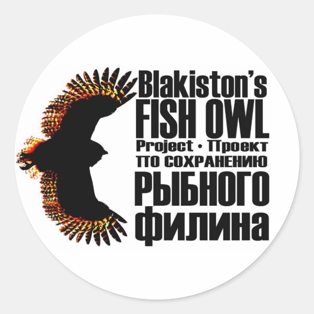 Stickers Projet Chouette de Poisson (Devant)