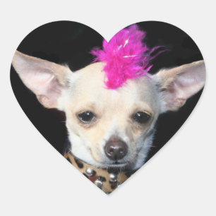 Stickers Punk Chihuahua