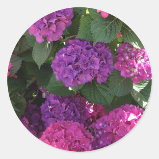 Stickers Purple et Magenta Hydrangea