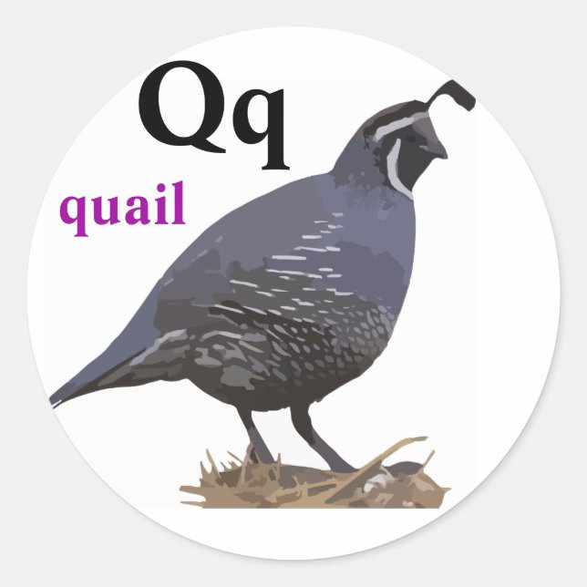 Stickers Quail Lettre Q (Devant)